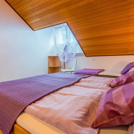Apartman Visnja